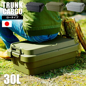 [ 送料無料 ] 耐荷重100kg！ ベンチ trunk cargo アウトドア 大容量 収納ボックス 新型 30L フタ付き キャンプ 収納ケース 丈夫 蓋付き■ 軽量＆頑丈 収納トランク ロータイプ 30L [ スタッキングタイプ ][ 1個 ]【AZSPシリーズ】【後払い決済不可】