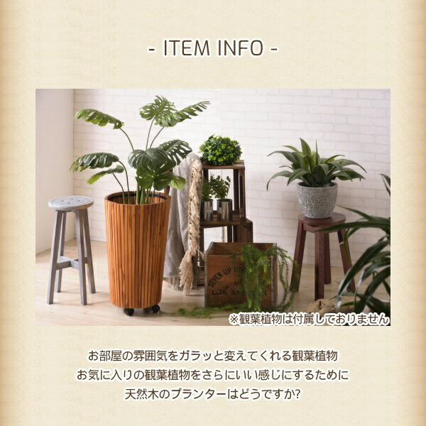 [ 送料無料 ] 一年保証 プランター おしゃれ 植木鉢 鉢植え 観葉植物 おしゃれに飾れる ウッドプランター 軽量 プレゼント ギフト モダン シック シンプル ガーデニング 室内 屋外 ベランダ 木製 プランター【AZSPシリーズ】ウッドプランター L【単品】 3