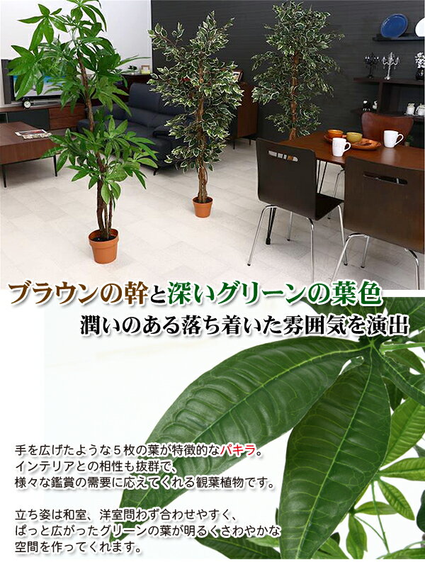 超激安 オフィスや自宅に手間のかからないフェイクグリーン 観葉植物 インテリア 人工観葉植物 造花 人工 フェイク 緑 置物 飾り 木 植物 玄関 カフェ 病院 お店 水のいらないヒーリング 観葉植物 Eleventhcolumn Com 超激安 オフィスや自宅に手間のかからないフェイクグリーン 観葉植物 インテリア 人工観葉植物 造花 人工 フェイク 緑 置物 飾り 木 植物 玄関 カフェ 病院 お店 水のいらないヒーリング 観葉植物 Eleventhcolumn Com