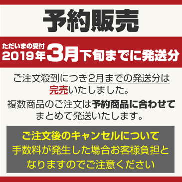 赤ちゃんを守る防災セットSHELTER ファミリー ベビータイプ★【予約受付／3月下旬までに発送】【防災士監修の防災グッズ収納】防災リュック 個人 震災・有事への備え ママ 家族のための防災セット 出産祝い プレゼント 母の日ギフト＜防災グッズ・防災セット＞