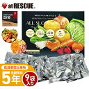 乾燥野菜 乾燥果物 セット 5年保存 高知乾燥野菜果物ミックスBOX 1箱 9袋入 ALL SLOW FOOD（オールスローフード） 【野菜＆果物 1箱】 非常食 保存食国産 高知県産 個包装 ドライフルーツ ドライ野菜 保存用 おやつ お菓子 防災グッズ【取寄せ品】