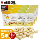 5年保存 非常食・保存食 ひとくちやわらかラスク3種9袋セット メロン70g3袋 チョコ70g3袋 メープル70g3袋 備蓄用 備蓄食 保存用 避難生活用品 おやつ お菓子<防災セット・防災グッズ>【取寄せ品】