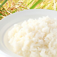 尾西の白飯