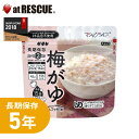 サタケ マジックライス 梅がゆ 【 白米5年保存 超長期保存 スプーン付き 備蓄 食料 非常食 保存食 食品 防災食 キャンプ 登山 アウトドア 備蓄米】