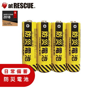 防災電池 超長期保存(単3形・4本パック) 日常備蓄 電池 パック 買い置き 防災 備品 家電用 おもちゃ用 ゲーム機用【台風 停電対策】【保存期間:2035年5月】【台風 停電対策】
