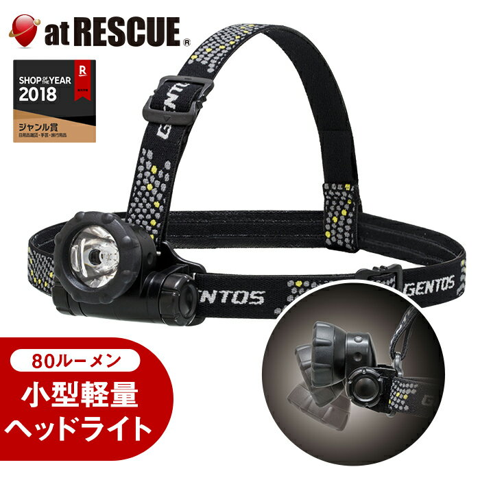 ȥ إåɥ饤 GTR-S31D 뤵120롼 13