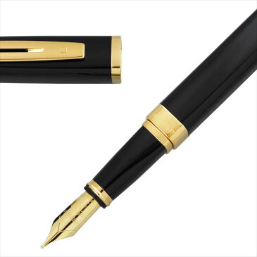 WATERMAN ウォーターマン 万年筆 エクセプションスリム ブラックラッカーGT ペン先 M:中字　S2223153