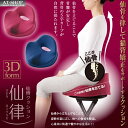 姿勢矯正用クッション 仙骨クッション 仙律 腰痛 トレーニング 猫背矯正 矯正グッズ 人気商品ランキング上位