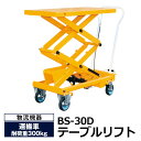 【クーポンあり】テーブルリフト BS-30D (耐荷重300kg)送料無料【車上渡し品 返品不可 個人宅配送不可 代引不可】
