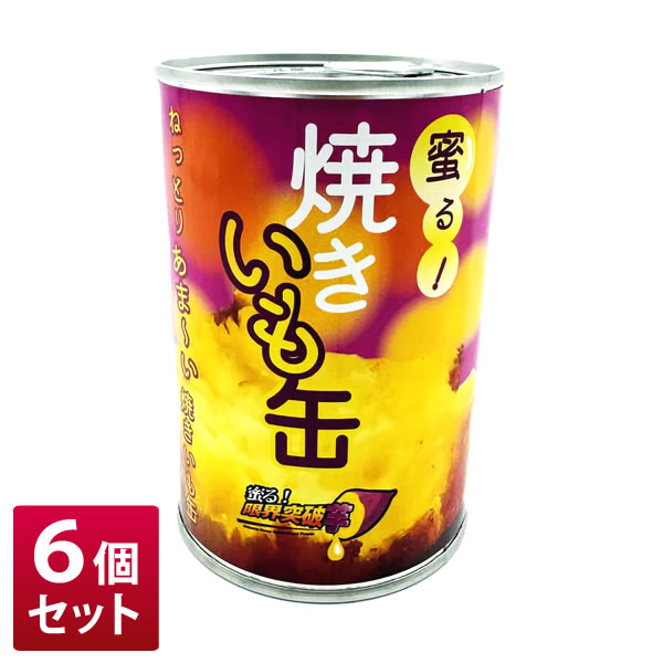 ��6�ĥ��åȡ�̪�롪�Ƥ�����̡�4��̡�140g �̡��Ƥ���̪�򡡤��Ĥޤ��⡡����ġ����ߡ���¸������￩�������ȥɥ������եȡ��ץ쥼��ȡڳ������Re��La...