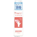 【2023年3月 月間優良ショップ】2個セット 薬用ハンド消毒スプレー 130mL NMウォッシングスプレー　指定医薬部外品