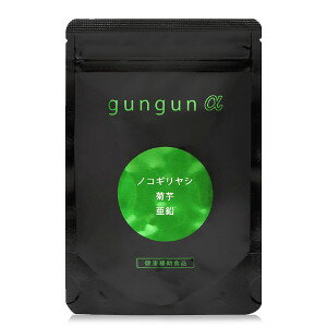 【2023年3月 月間優良ショップ】【ポイント15倍】gungun α 36g(400mg×90粒)