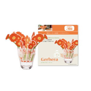 どこでもモイスチャー ガーベラ DM-231