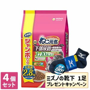 【今ならミズノの靴下1足をプレゼ�