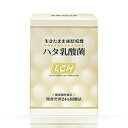 【ショップレヴュー実績4.8超え】ハタ乳酸菌 1ヶ月分(2g×30包入り)