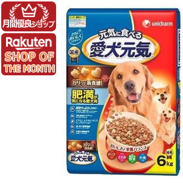 乐天商城 - 【MIZUNO靴下1足プレゼント】ユニ・チャーム 愛犬元気 肥満が気になる愛犬用 ビーフ・ささみ・緑黄色野菜・小魚入り 6kg 4520699659328※メーカー都合によりパッケージ、デザインが変更となる場合がございます