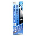 【送料込・まとめ買い×120個セット】 コロンブス 活性炭 インソール アーチ & カカトクッション付き 男性 LL(4)
