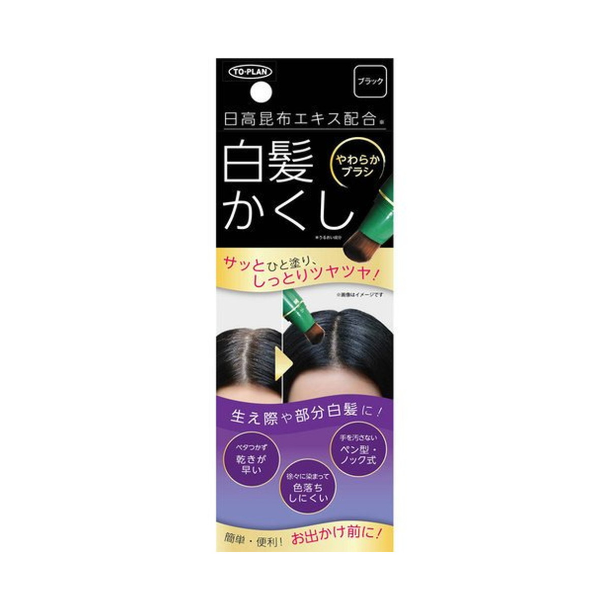 【送料込】 東京企画 TO-PLAN 日高昆布エキス配合 白髪かくし N ブラック 20g 1個