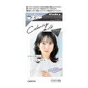 【送料込】ダリヤ パルティ カラーリングミルク ひたむきブルージュ ヘアカラー乳液 1個