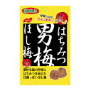 【配送おまかせ】ノーベル製菓 はちみつ 男梅 ほし梅 20g 1個