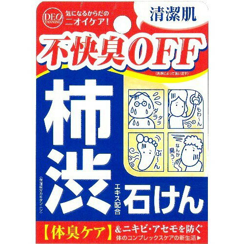 【送料込】 コスメテックスローランド 柿渋エキス配合石鹸 デオタンニングソープ 100g 1個