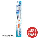 【メール便送料無料】デンタルプロ フレッシュ 超極細毛 ふつう 1本 ※色は選べません。 【むし歯予防】