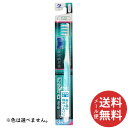 【メール便送料無料】デンタルプロ ダブル ジグザグ毛 3列 ふつう 1本 ※色は選べません。 【歯周病予防】(4)