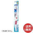 【メール便送料無料】デンタルプロ フレッシュ 超極細毛 やわらかめ 1本 ※色は選べません。 【むし歯予防】