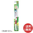 【メール便送料無料】デンタルプロ フレッシュ Mカット かため 1本 【むし歯予防】