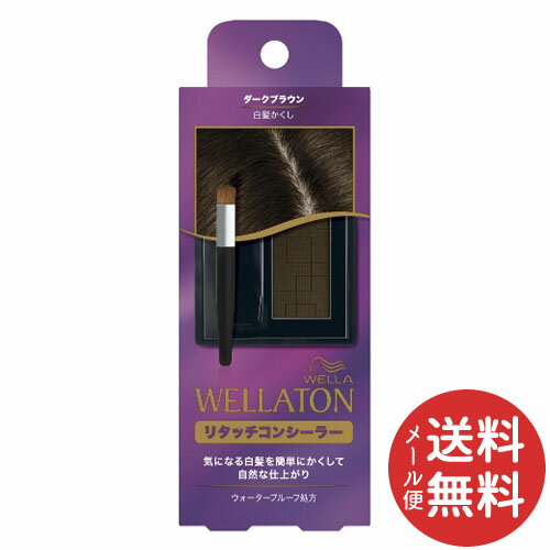 【メール便送料無料】ウエラトーン リタッチコンシーラー ダークブラウン 2g 1個のサムネイル
