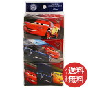 【メール便送料無料】カーズ3 保湿ティシュ 6パック入 1個...