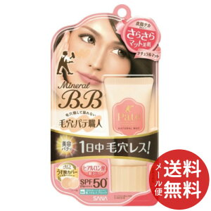 【メール便送料無料】常盤薬品 サナ 毛穴パテ職人 ミネラルBBクリーム ナチュラルマット 30g 1個