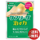 【メール便送料無料】ニチバン ケアリーヴ 治す力 CN5B 1個(4)