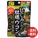 【配送おまかせ送料込】井藤漢方製薬 しじみの入った牡蠣ウコン+オルニチン 120粒入 1個