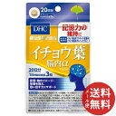 【配送おまかせ送料込】DHC イチョウ葉 脳内α 20日分 60粒 18g 1個