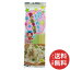 【メール便送料無料】イトメン 白いそうめんとゆでちゃお 120g 1個