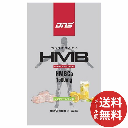 【メール便送料無料】UHA味覚糖 DNSグミ HMB 29g 1個