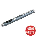 【メール便送料無料】SK11 ペン型レーザーポインター R SLP-RP 1個