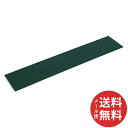 【メール便送料無料】SK11 ならしへらゴム付FNB-04 2+8X50XX250mm 1個