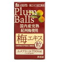 【送料込・まとめ買い×6個セット】創健社 国内産完熟紀州梅使用梅エキス粒 90g 1個