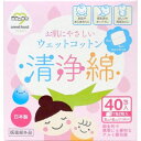 【送料込】 大衛 アメジスト ファミレ 清浄綿 40包入 ウ...