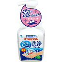 【送料込・まとめ買い×24個セット】小林製薬 パーシャルデント 洗浄フォーム 部分入れ歯用 250ml