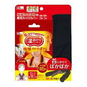 【送料込】レック 温めぐり 首にかける 極暖かけぽか さらっとカバー付き 使い捨てカイロ 1個