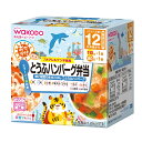 【送料込】アサヒグループ食品 和光堂 BIGサイズの栄養マルシェ おでかけ とうふハンバーグ弁当 190g スプーン1本付 1個