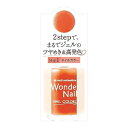 【送料込・まとめ買い×3個セット】Dear Laura pa ワンダーネイル 10ml RWN-14
