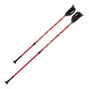 【送料込・まとめ買い×6個セット】羽立工業 DFP プログレッシブズーム 2本組 WH1120-62 レッド ノルディック・ウォークポール