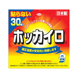 【送料込】 興和新薬 ホッカイロ 貼らないレギュラー 30個入 1個