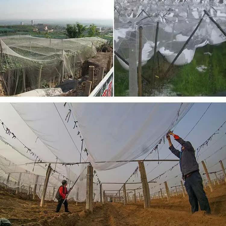 鳥除け網 防虫ネット 果樹 農業用ネット 防雹ネット 果樹 2*10m 2*10m 果樹保護 防...