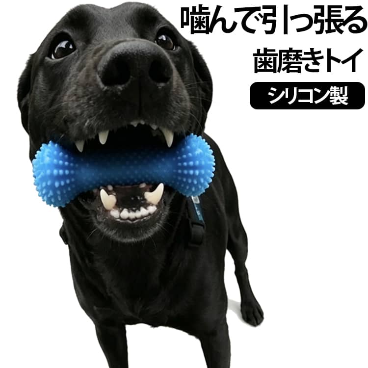 噛んで引っ張って楽しくお口スッキリ！歯ブラシが苦手なワンちゃんも大喜びのシリコン製デンタルケアトイ。歯磨きを嫌がる愛犬にお困りの方へ。噛むのが大好きなワンちゃんの習性をいかして、引っ張りっこ遊びをしながら楽しくお口のケアができる骨型おもちゃです。全体についた約300個の柔らかい突起が、噛むたびに歯のすき間まで届いて汚れを落とし、口臭や歯垢をケア。赤ちゃん用品にも使われる安心のシリコン素材でできているので、丸洗いもできていつでも清潔に保てます。そのまま噛ませて遊ばせるのはもちろん、お気に入りのおやつペーストを塗ったり、歯磨き中の口を開けるサポートに使ったりと使い方も自由自在。頑丈なロープ付きで引っ張りっこもしやすく、しっかり持てるので誤飲の心配もなく安心して遊ばせられます。 サイズ F サイズについての説明 約10x4cm 素材 シリコン 色 ブルー 備考 ●サイズ詳細等の測り方はスタッフ間で統一、徹底はしておりますが、実寸は商品によって若干の誤差(1cm～3cm )がある場合がございますので、予めご了承ください。 ●製造ロットにより、細部形状の違いや、同色でも色味に多少の誤差が生じます。 ●パッケージは改良のため予告なく仕様を変更する場合があります。 ▼商品の色は、撮影時の光や、お客様のモニターの色具合などにより、実際の商品と異なる場合がございます。あらかじめ、ご了承ください。 ▼生地の特性上、やや匂いが強く感じられるものもございます。数日のご使用や陰干しなどで気になる匂いはほとんど感じられなくなります。 ▼同じ商品でも生産時期により形やサイズ、カラーに多少の誤差が生じる場合もございます。 ▼他店舗でも在庫を共有して販売をしている為、受注後欠品となる場合もございます。予め、ご了承お願い申し上げます。 ▼出荷前に全て検品を行っておりますが、万が一商品に不具合があった場合は、お問い合わせフォームまたはメールよりご連絡頂けます様お願い申し上げます。速やかに対応致しますのでご安心ください。