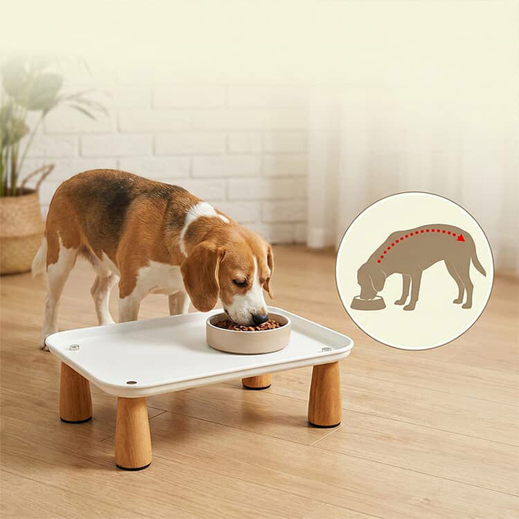 餌皿 脚付き フードボウルスタンド ペット用テーブル 猫 犬 食器スタンド 木製足 ...